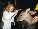 Gaby with deer