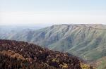 Cevennes
