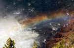 Rainbow 4