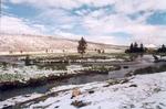 Scene from Yellowstone