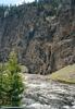 Yellowstone 11