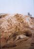 Mammoth springs