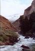 Yellowstone 5