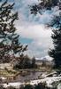 Somewhere in Yellowstone