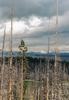 Yellowstone Lake