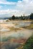 Yellowstone springs