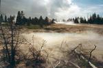 Yellowstone springs