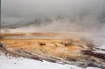 Mammoth springs