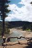 Yellowstone12