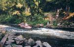 Braving the rapid