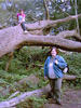 Piggypark-01