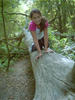 Piggypark-04