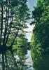 Spreewald