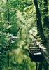 Spreewald