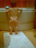 Bath time